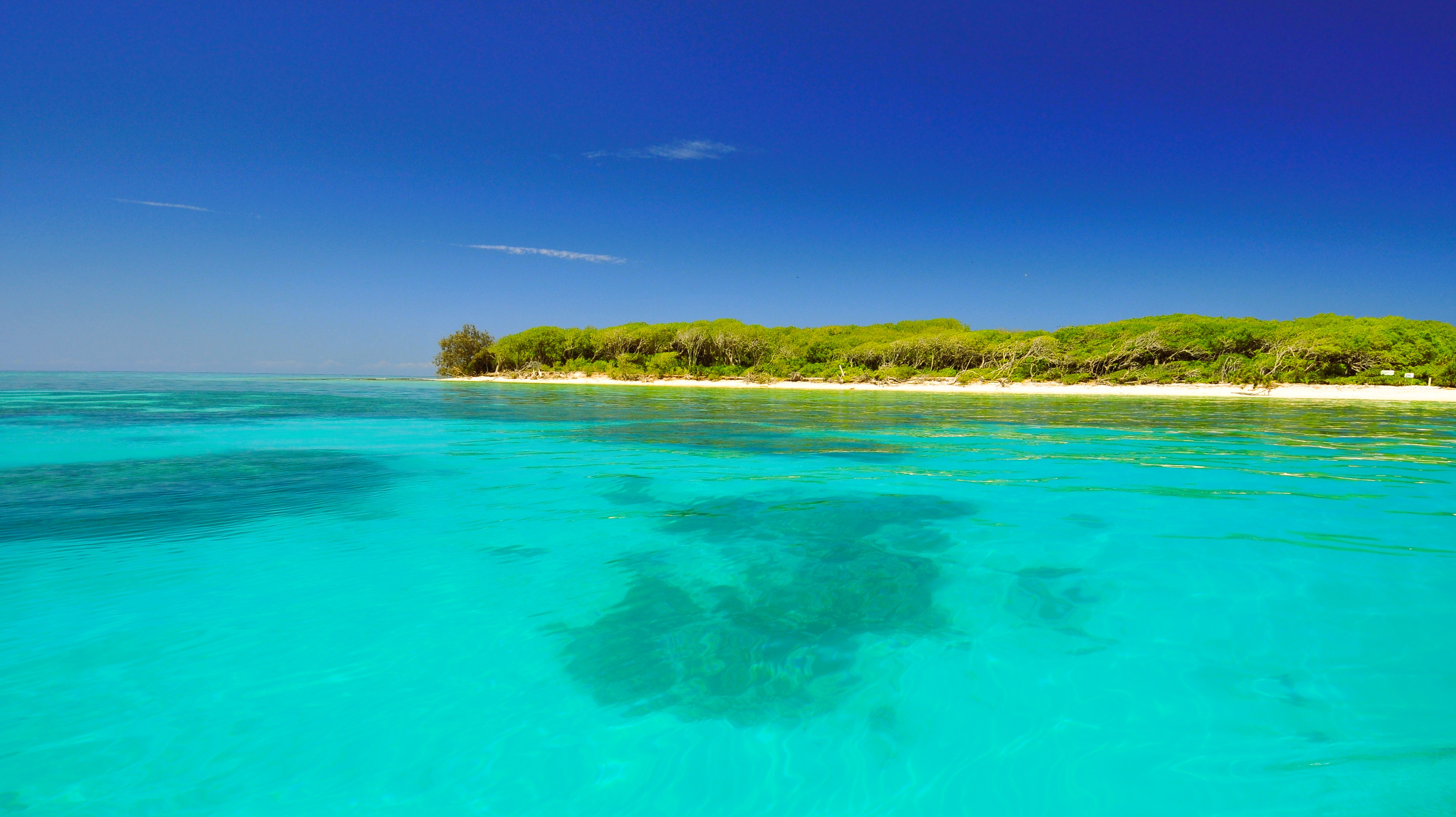 Lady Musgrave Island, Australia